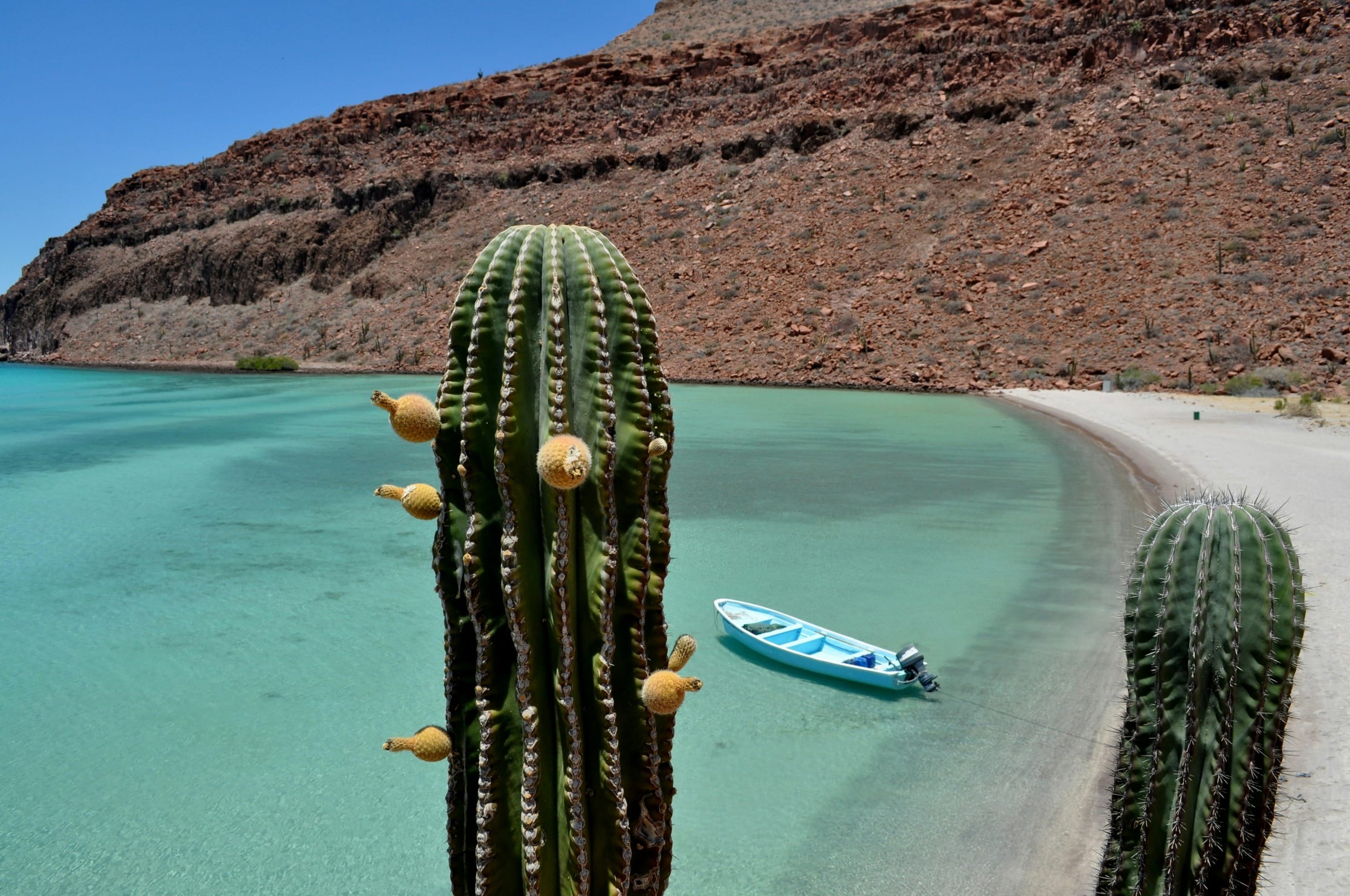 Baja California Bliss