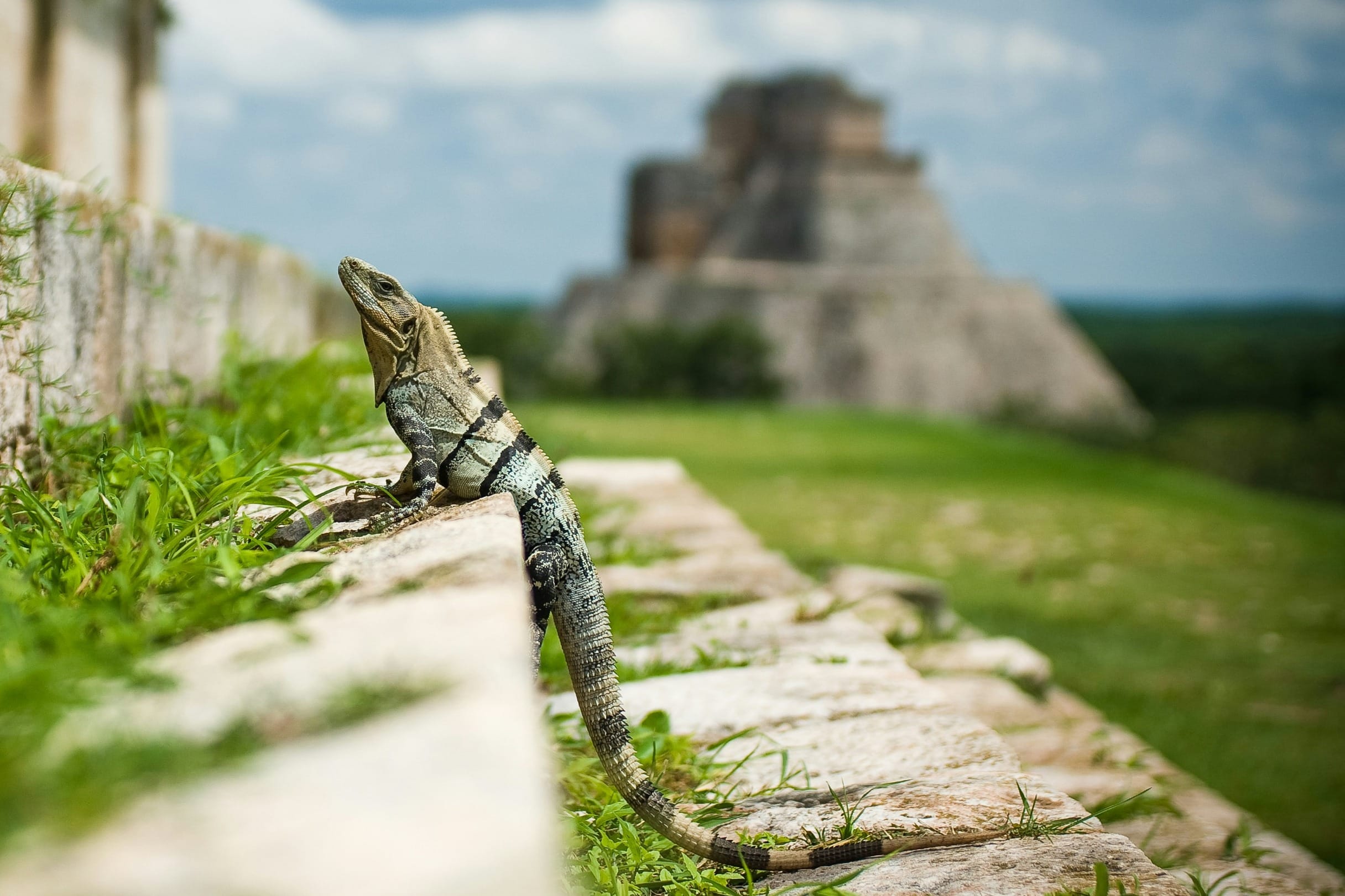 Riviera Maya Escape